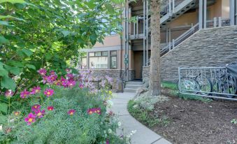 Snowmass Village Retreat Close to Slopes and Trails!