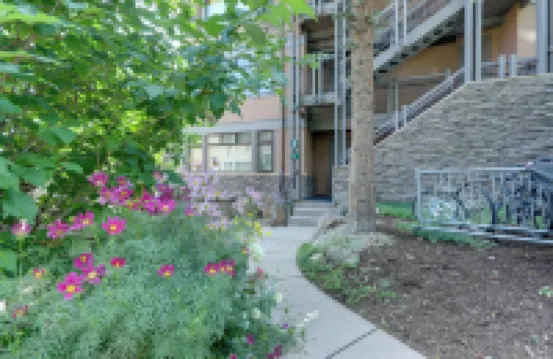 靠近雪道和小徑的Snowmass村莊精美度假屋