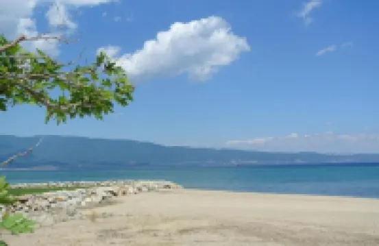 Balance Accommodation