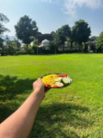 Jungle by sturmfrei Pushkar