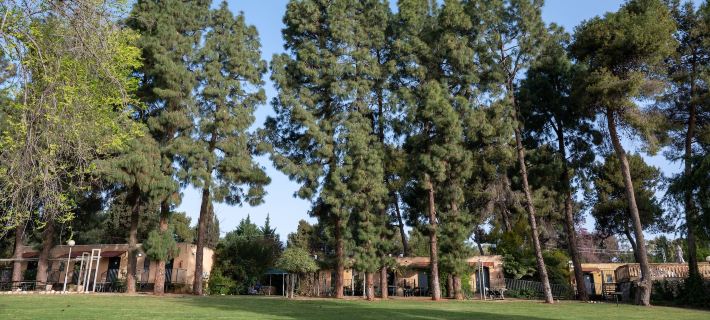 Kibbutz Malkiya Travel Hotel Hotels in Tzfat