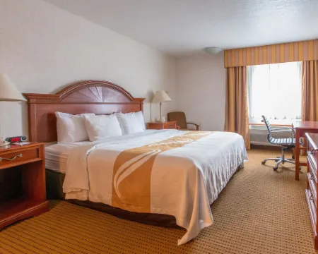 クオリティ イン & スイーツ ユニバーシティ ララミーのホテル