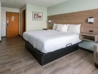 Hotel Pommier Chariton Hotels in Chariton