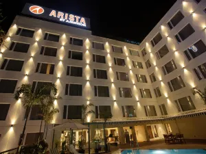 야망의 아리스타