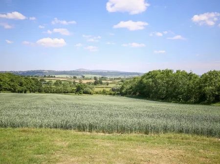 The Onibury Отели в г. Крейвен Армс