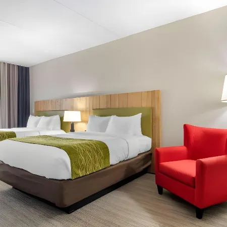 Comfort Inn & Suites Calhoun South