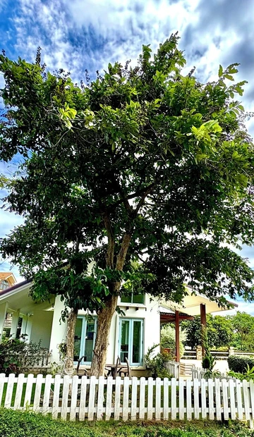 รูปภาพของภูรีนันต์ รีสอร์ท