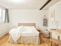 Hotel Murten - Pet-friendly