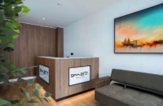 智慧特里亞納橋