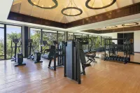 Banyan Tree Cabo Marques - Gym