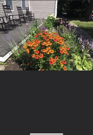 Perfect location  ! Harbor Breeze is on Camden Harbor & walking distance to town Отели в г. Кэмден