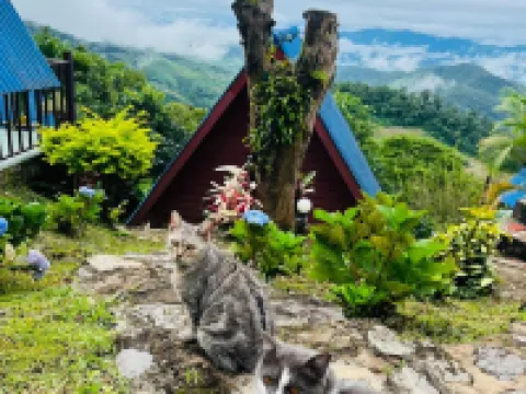 อุกฤษฟาร์มฮิลล์ รีสอร์ท โรงแรมในอำเภอ เทิง