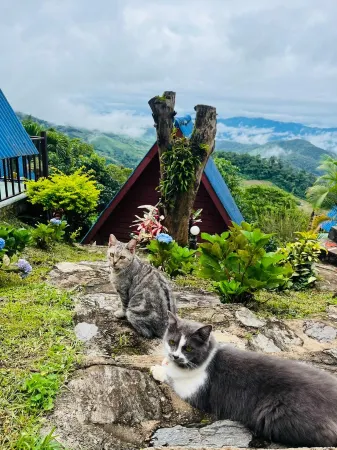 Ukrist Farm Hill Resort Отели в г. Thoeng