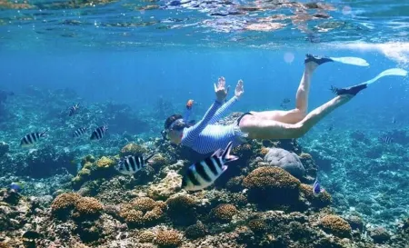 West Riviera - Centrally Located Apartment close to the beach with breakfast. Отели рядом с достопримечательностью «Касела Уорлд оф Адвенчерс»