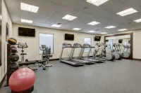 Hampton Inn St. Louis Wentzville - Gym