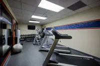 Hampton Inn Salem East-Electric Road - Gym