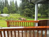 Kasilof River Getaway Hotels in Cohoe