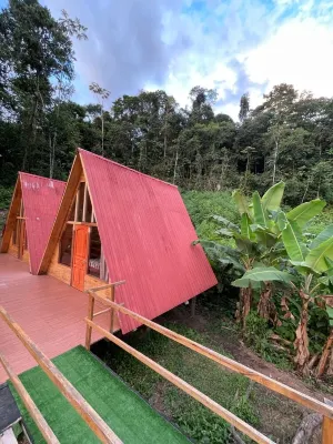 Cabañas en un Mirador, divisa la biodiversidad amamzónica Hotels in 