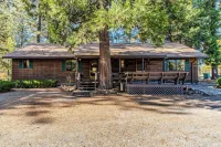 Family & Dog friendly Fenced 5Acr: Pool Table, Playground, Firepit, BBQ, Starlnk