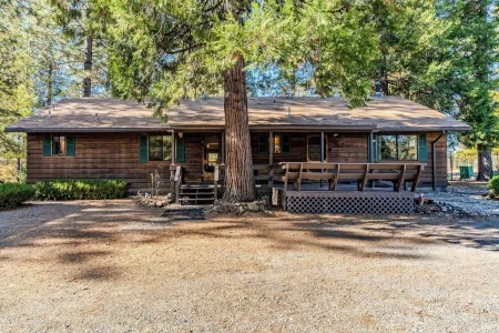 Family & Dog friendly Fenced 5Acr: Pool Table, Playground, Firepit, BBQ, Starlnk