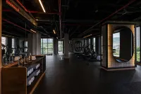 Faranda收藏麥德林，Radisson個人成員 - 健身室/gym room