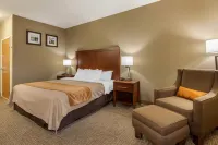 كامفرت إن والكوت نير دافنبورت