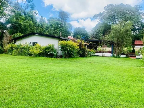 "Simple,  Clean,  Safe"