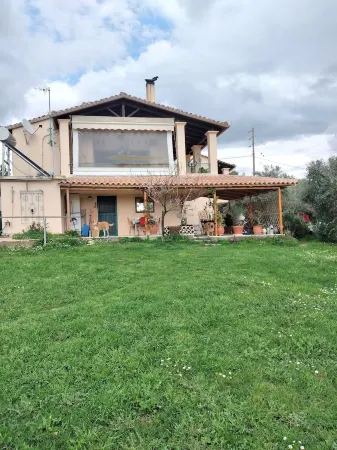 Cozy studio apartment in the middle of a large garden. Have dogs. Отели в г. Трифилија