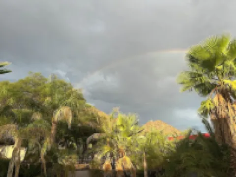 Private 2.5-Acre Retreat with Lush Palms, Pool, Play Train & Tortoises