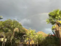 Private 2.5-Acre Retreat with Lush Palms, Pool, Play Train & Tortoises