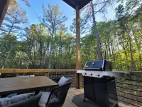Lux Blue Ridge Cabin, Hot tub, Swing, & PingPong!