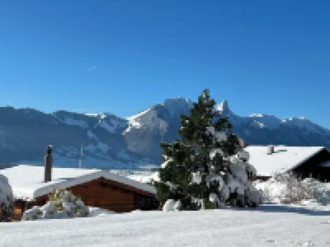 "little lizard" An apartment for two 錫格里斯維爾住宿飯店