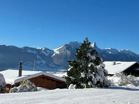 "little lizard" An apartment for two