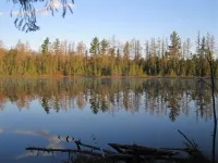 The King's Cottage ~ A Very Quiet Northwoods Retreat/Abuts Bearskin State Trail