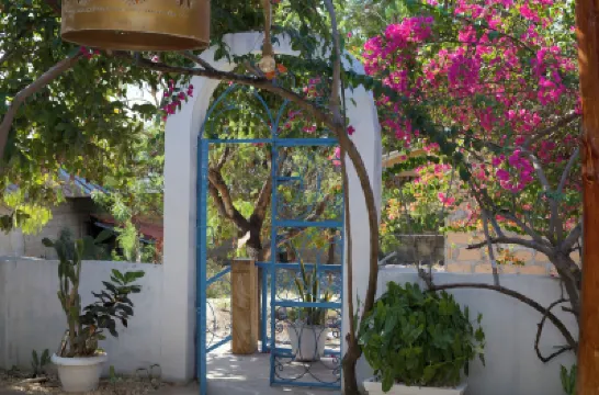 Barabara House Hotels in 