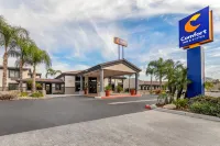 Comfort Inn & Suites - Parkplatz