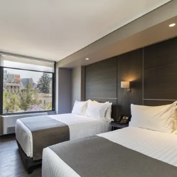 Ola Santiago Providencia, Tapestry Collection by Hilton
