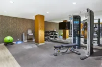 Hotel Indigo ROCHESTER – MAYO CLINIC AREA by IHG - Gym