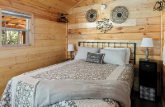 Shine On near Red River Gorge!