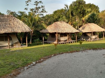Mayan World Adventures Jungle Experience