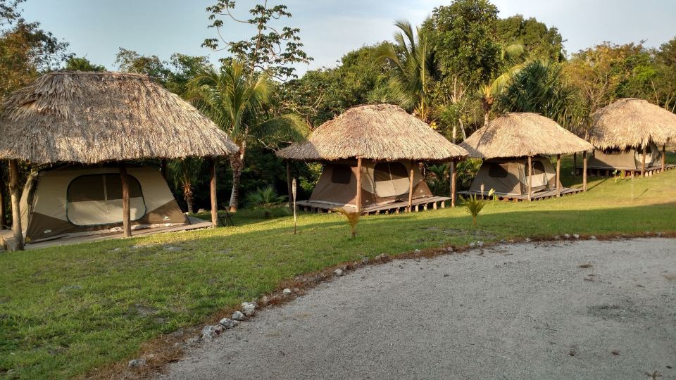 Mayan World Adventures Jungle Experience