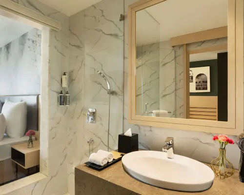 Novotel Jaipur Convention Centre Rooms Photos