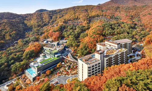 Restree and Forest Resom