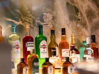 巴黎福堡格朗翰悅閣酒店 - 酒吧