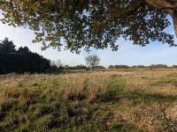 Moorrose: Holiday apartment in the Frisian Gulfhof, not barrier-free