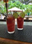 Playa Bluff Lodge - bar