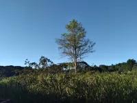 Pousada Lar do Sossego - Desayuno