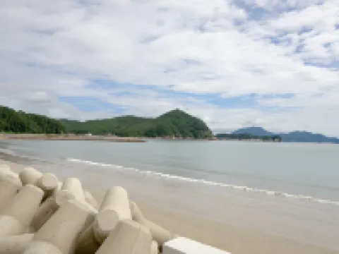완도 동고리의아침펜션 완도군 호텔