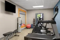 Hampton Inn & Suites Boise-Meridian - Gym