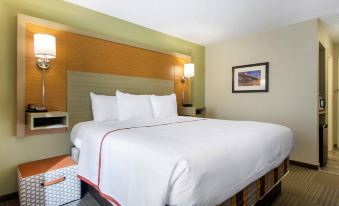 Gallus Stadium Park Inn, Ascend Hotel Collection